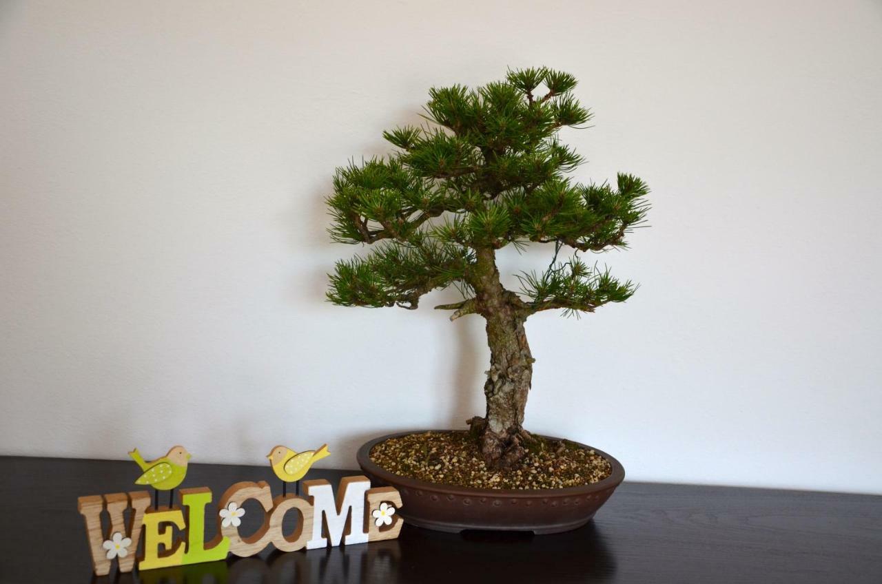 Bonsai House Apartment Portorož Exterior foto